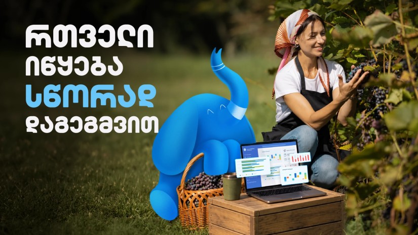 ყურძნიდან ბოთლამდე: როგორ ეხმარება ERP სისტემა მეღვინეობასა და სხვა დარგებს