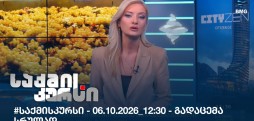 საქმის კურსი