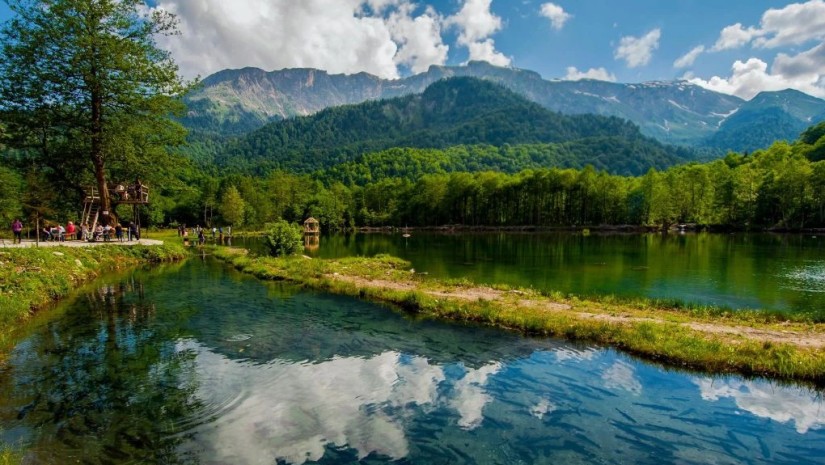 რაჭა