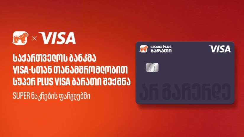 Plus Visa