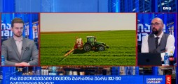 #მსოფლიოამბები