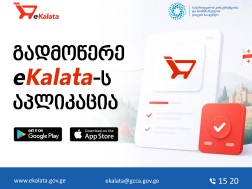 Ekalata.gov.ge