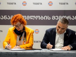 თეგეტა & გალფი