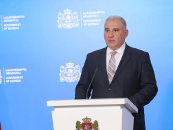 მიხეილ სარჯველაძე