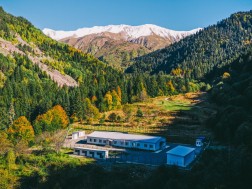 მამისონის სასაზღვრო