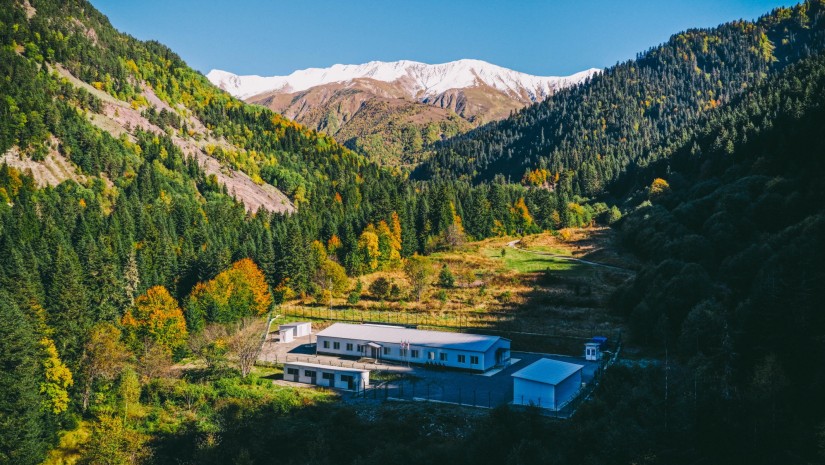მამისონის სასაზღვრო
