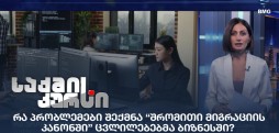 შრომითი მიგრაციის კანონი