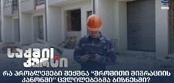 შრომითი მიგრაციის კანონი