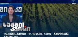 საქმის კურსი