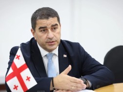 შალვა პაპუაშვილი