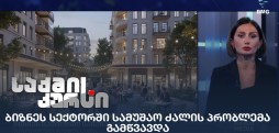 სამუშაო ძალის პრობლემა