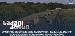 სოფლის მეურნეობის სექტორი