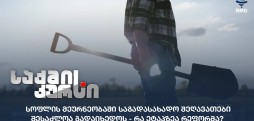 აგროსექტორი