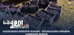 რთველი რაჭაში