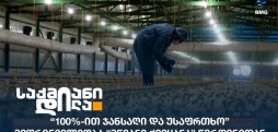 მწვანე ქვეყანა