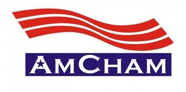 Amcham expresses support for US-Georgia direct flights