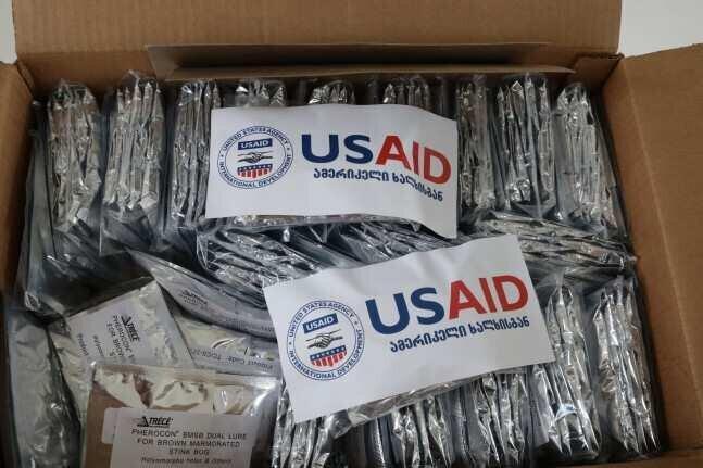 USAID-მა საქართველოს ფაროსანასთან ბრძოლისთვის ფერომონები გადასცა - სეს