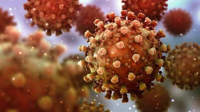 The world's first confirmed case of coronavirus re-infection has been identified 