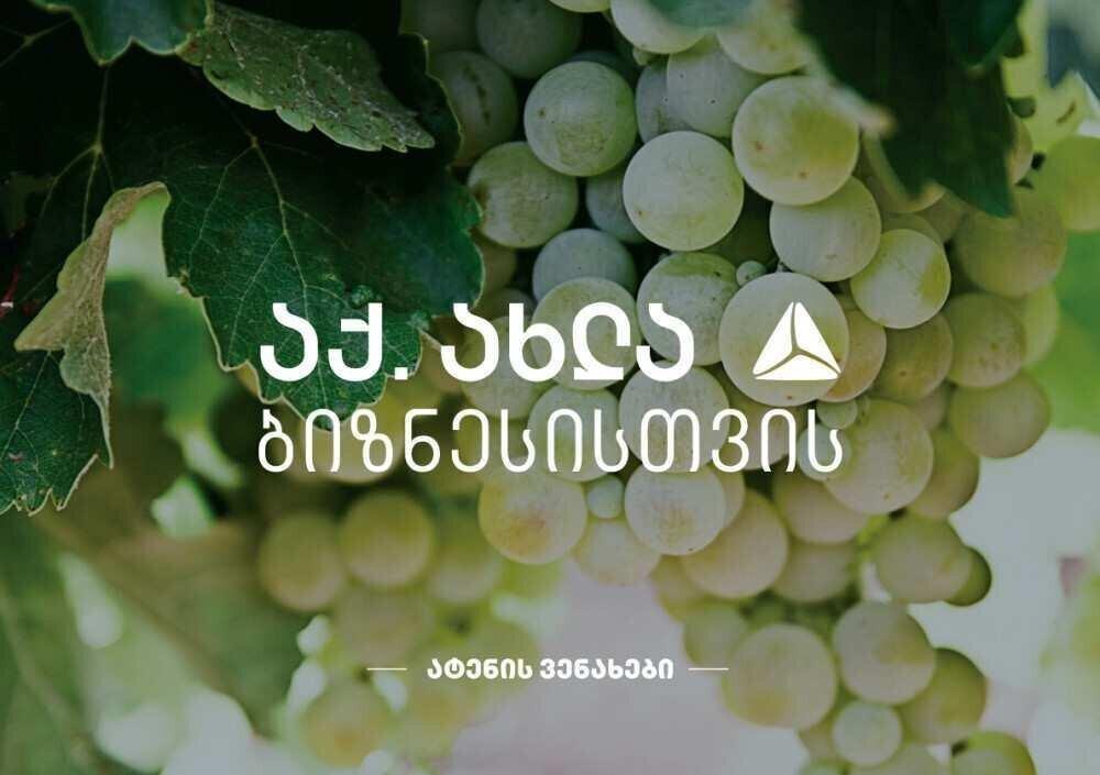  „ატენის ვენახების“  ღვინო ევროპაში ექსპორტისთვის ემზადება