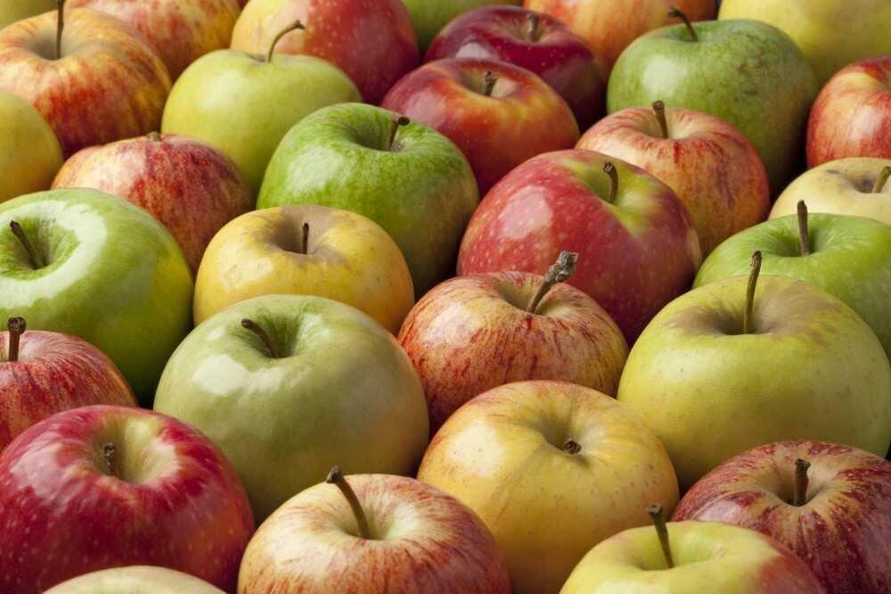 How many apples have been exported from Georgia and where? - Ministry 