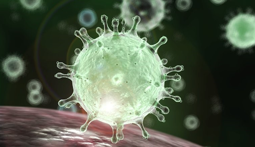 Georgia Reports 2,460 New Cases Of Coronavirus - Stopcov.ge