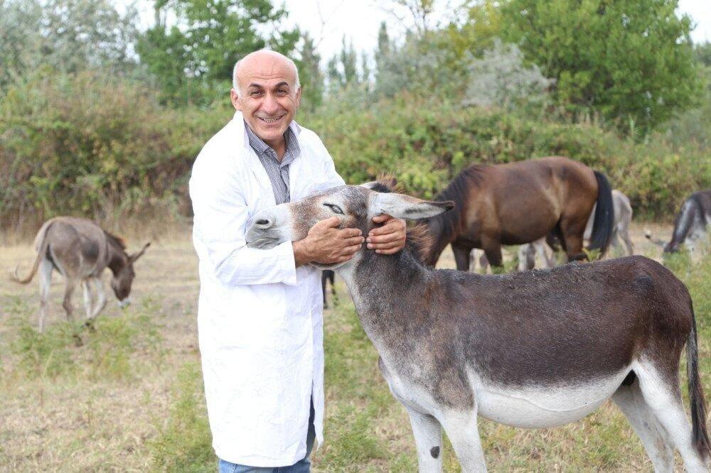 Demand For Donkey Milk Is Up – The Company