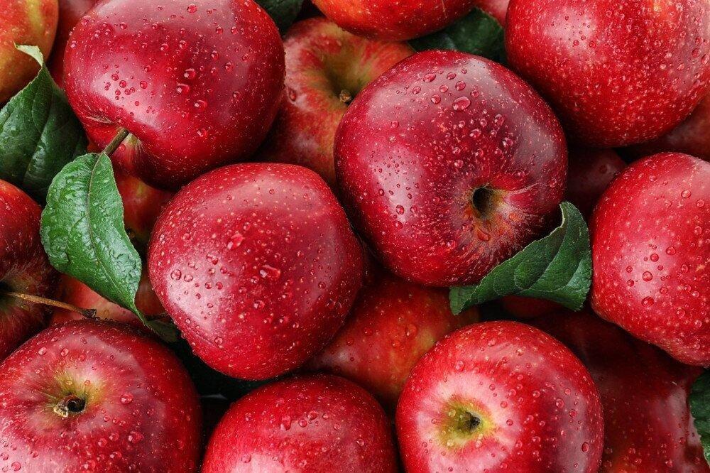ბოლო ოთხ თვეში 3,263 ტონა ვაშლის ექსპორტი განხორციელდა - სად გადის ქართული ვაშლი?