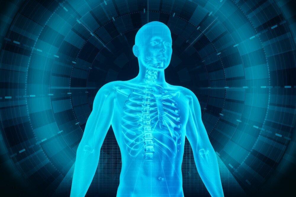 Scientists Discover New Part of the Human Body