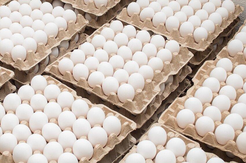 “მთავრობამ ჩვენთვის დრო ვერ გამონახა”- რატომ ძვირდება კვერცხი?