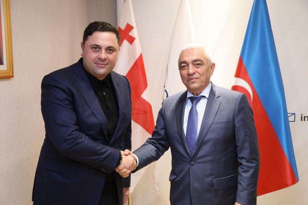 Georgian Deputy Minister Met The Head of Azerenerji OJSC