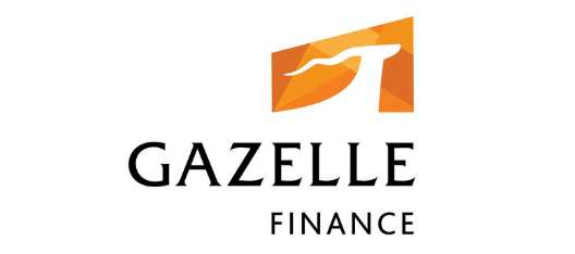 “პანდემიის უარყოფით ეფექტებს ჯერ კიდევ ვიმკით” - Gazelle Finance Georgia