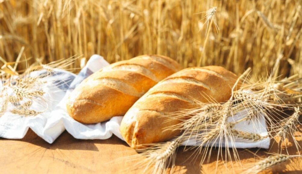 Kazakhstan to impose wheat and flour export quotas