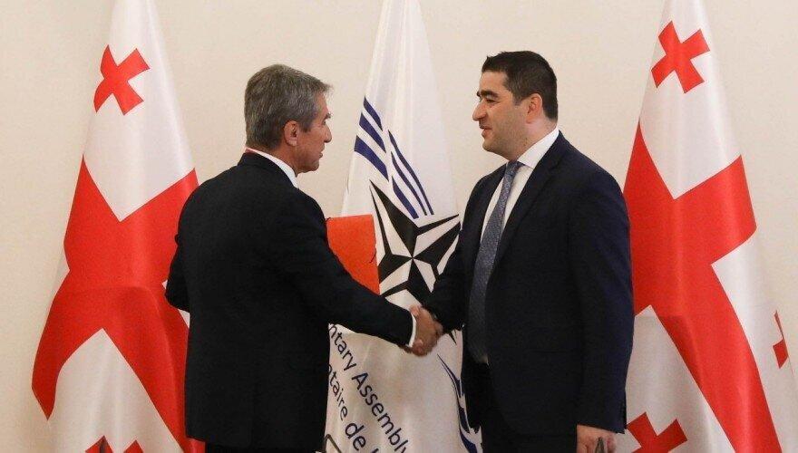 Parliament Speaker Met The Member of The NATO PA Defence And Security Committee