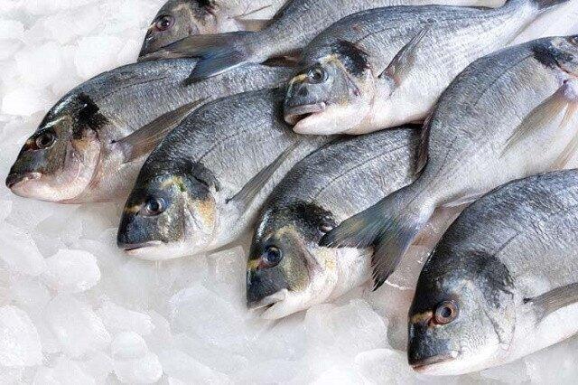 How Much Did Fish Production Increase In Georgia Last Year?