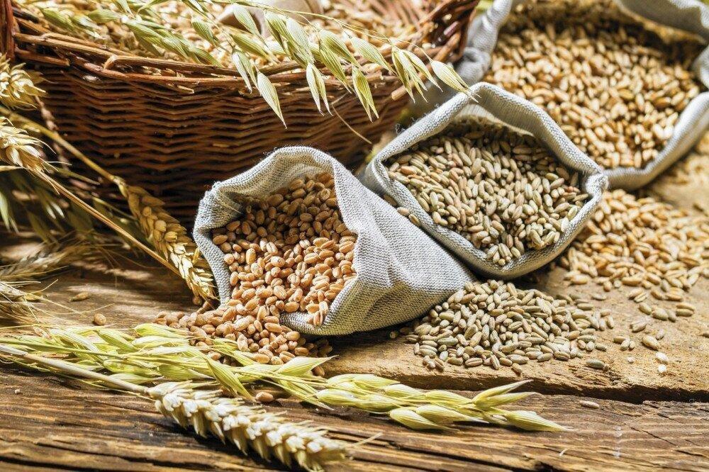 Over 563,000 t of agro products already exported from Ukraine through ‘grain corridors’