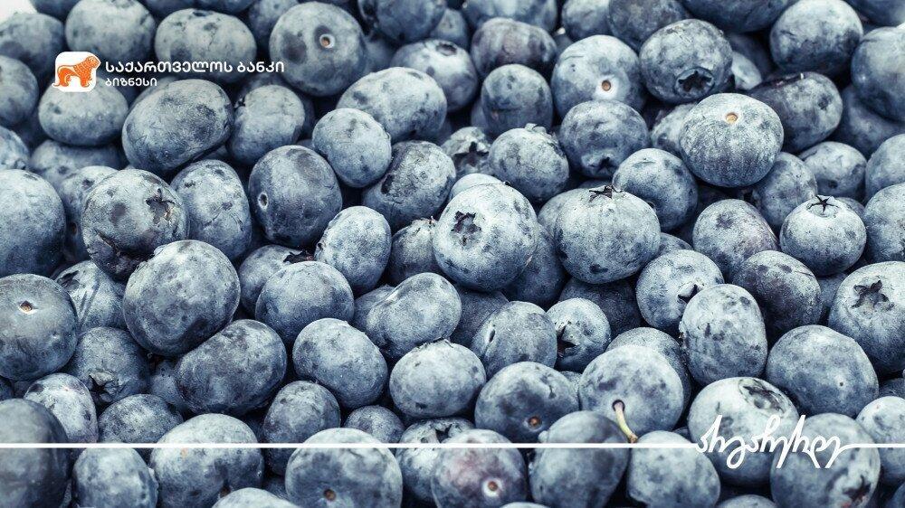 GEL 1.5 MLN Was Invested In Blueberry Plantation In Guria With The Support Of The Bank Of Georgia