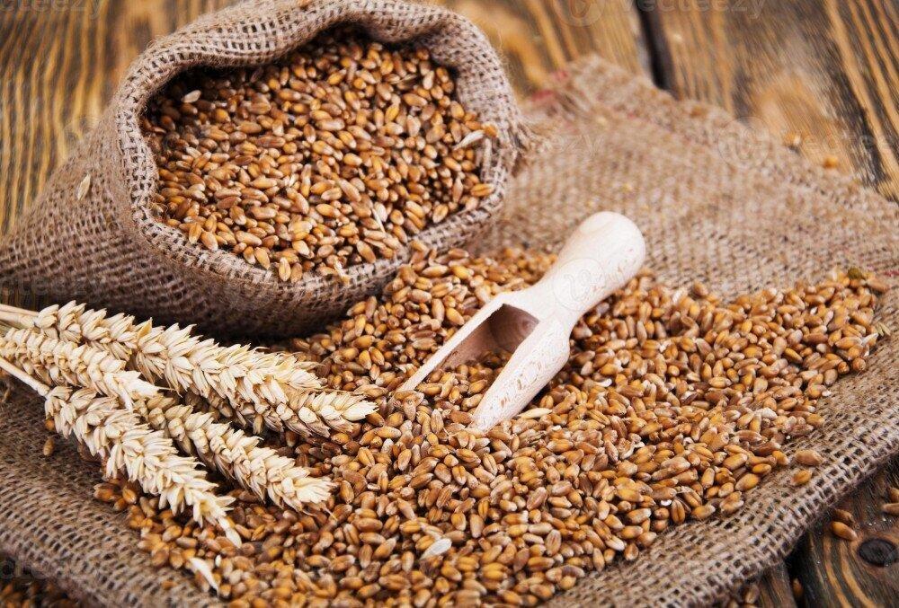More than 15M tonnes of grain exported from Ukrainian ports