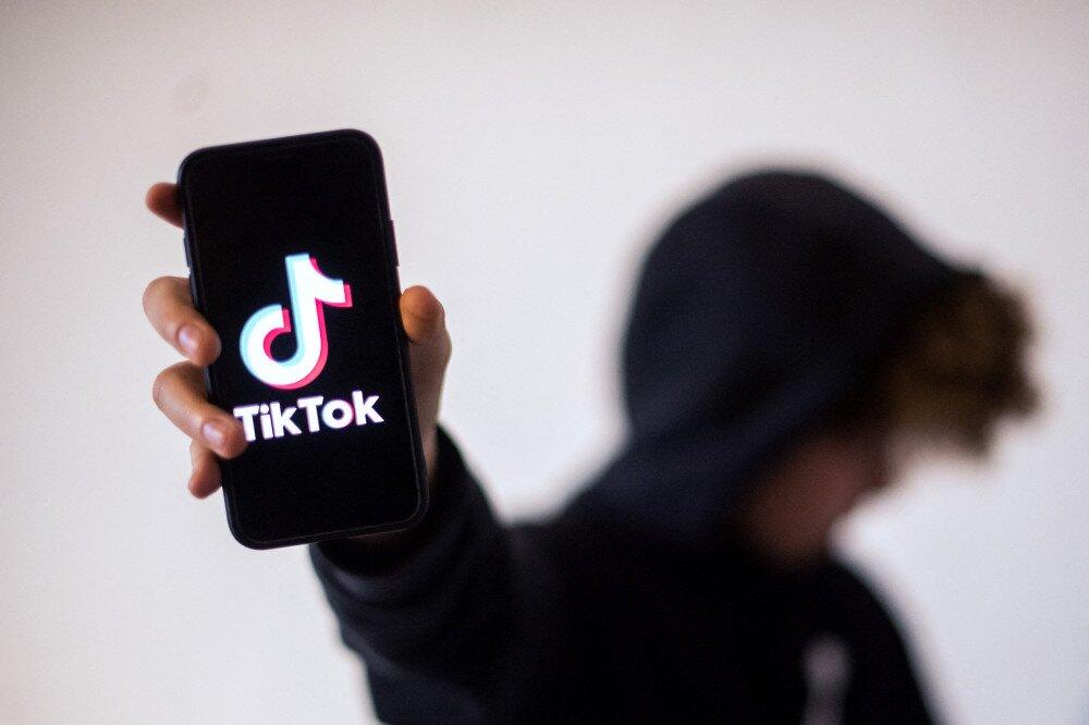 Avoid TikTok for government work, Dutch officials told