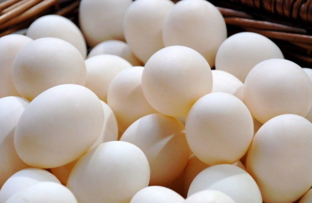 „რუსეთიდან იმპორტირებული ხორბლის ფასის ზრდამ კვერცხი 3 თეთრით გააძვირა” - უჩუმბეგაშვილი