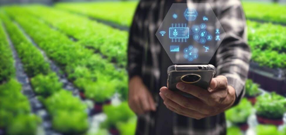 EBRD AgVenture competition to foster food and ag-tech innovation