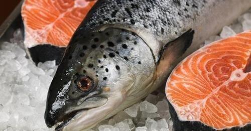 Norwegian Salmon To Appear On The Georgian Market From Autumn - Guria Fish Farming